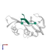 DNA (5'-D(*TP*TP*TP*T)-3') in PDB entry 1rta, assembly 1, top view.