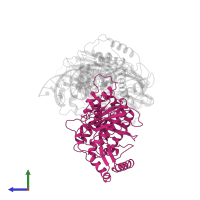 p51 RT in PDB entry 1rtd, assembly 2, side view.