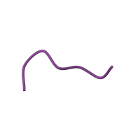 The deposited structure of PDB entry 1rtf contains 1 copy of SCOP domain 50514 (Eukaryotic proteases) in TWO CHAIN TISSUE PLASMINOGEN ACTIVATOR. Showing 1 copy in chain A.