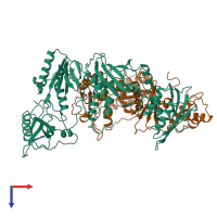 Hetero dimeric assembly 1 of PDB entry 1rth coloured by chemically distinct molecules, top view.