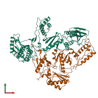 PDB entry 1rth coloured by chain, front view.