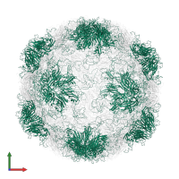 Capsid protein VP1 in PDB entry 1rud, assembly 1, front view.