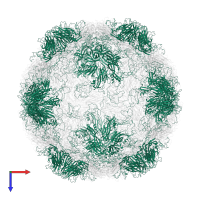 Capsid protein VP1 in PDB entry 1rud, assembly 1, top view.