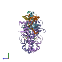 PDB entry 1run coloured by chain, side view.