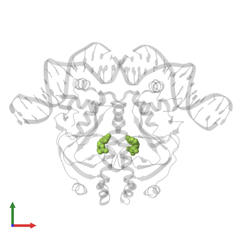 <div class='caption-body'>PDB entry 1run contains 2 copies of ADENOSINE-3',5'-CYCLIC-MONOPHOSPHATE in assembly 1. This small molecule is highlighted and viewed from the front.</div>