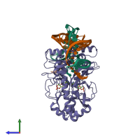 Hetero hexameric assembly 1 of PDB entry 1ruo coloured by chemically distinct molecules, side view.