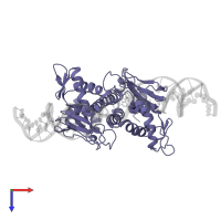 DNA-binding transcriptional dual regulator CRP in PDB entry 1ruo, assembly 1, top view.