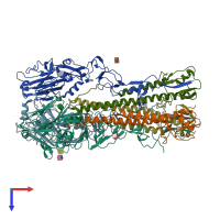 PDB entry 1ruy coloured by chain, top view.