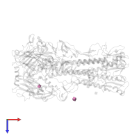 2-acetamido-2-deoxy-beta-D-glucopyranose in PDB entry 1ruz, assembly 1, top view.