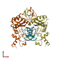 PDB entry 1rv5 coloured by chain, front view.