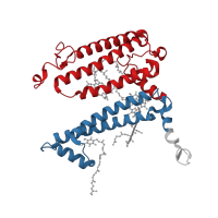 The deposited structure of PDB entry 1rvj contains 2 copies of CATH domain 1.20.85.10 (Photosynthetic Reaction Center, subunit M; domain 1) in Reaction center protein L chain. Showing 2 copies in chain A [auth L].