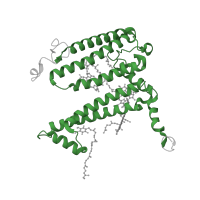 The deposited structure of PDB entry 1rvj contains 1 copy of Pfam domain PF00124 (Photosynthetic reaction centre protein) in Reaction center protein L chain. Showing 1 copy in chain A [auth L].