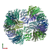 PDB entry 1rvv coloured by chain, front view.