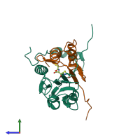 PDB entry 1rwk coloured by chain, side view.