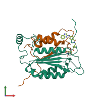 PDB entry 1rwn coloured by chain, front view.