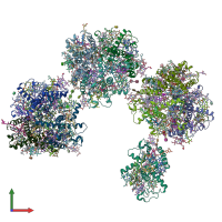 PDB entry 1rwt coloured by chain, front view.