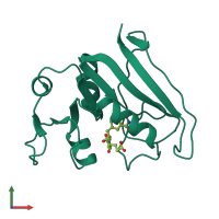 PDB entry 1rx5 coloured by chain, front view.