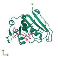 PDB entry 1rx9 coloured by chain, front view.