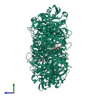 Homo hexameric assembly 2 of PDB entry 1rxs coloured by chemically distinct molecules, side view.