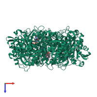 Homo hexameric assembly 2 of PDB entry 1rxs coloured by chemically distinct molecules, top view.