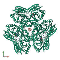 Homo hexameric assembly 4 of PDB entry 1rxs coloured by chemically distinct molecules, front view.