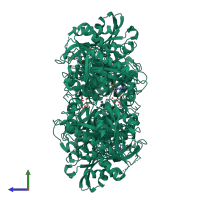Homo hexameric assembly 5 of PDB entry 1rxs coloured by chemically distinct molecules, side view.