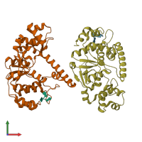 PDB entry 1rxv coloured by chain, front view.