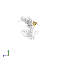 Signal recognition particle 19 kDa protein in PDB entry 1ry1, assembly 1, side view.