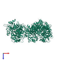 Acetyl-coenzyme A synthetase 1 in PDB entry 1ry2, assembly 1, top view.