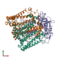PDB entry 1ry5 coloured by chain, front view.