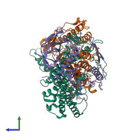 PDB entry 1ry5 coloured by chain, side view.