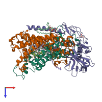 PDB entry 1ry5 coloured by chain, top view.