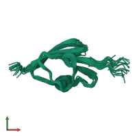 PDB entry 1ryj coloured by chain, ensemble of 20 models, front view.