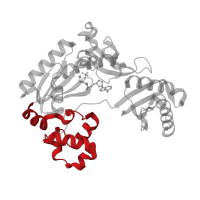 The deposited structure of PDB entry 1ryr contains 1 copy of CATH domain 1.10.150.20 (DNA polymerase; domain 1) in DNA polymerase IV. Showing 1 copy in chain C [auth A].