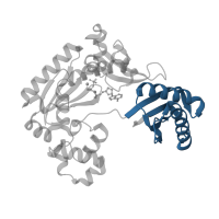 The deposited structure of PDB entry 1ryr contains 1 copy of CATH domain 3.30.1490.100 (Dna Ligase; domain 1) in DNA polymerase IV. Showing 1 copy in chain C [auth A].