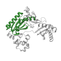 The deposited structure of PDB entry 1ryr contains 1 copy of CATH domain 3.30.70.270 (Alpha-Beta Plaits) in DNA polymerase IV. Showing 1 copy in chain C [auth A].