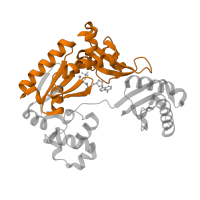 The deposited structure of PDB entry 1ryr contains 1 copy of Pfam domain PF00817 (impB/mucB/samB family) in DNA polymerase IV. Showing 1 copy in chain C [auth A].