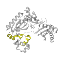 The deposited structure of PDB entry 1ryr contains 1 copy of Pfam domain PF11798 (IMS family HHH motif) in DNA polymerase IV. Showing 1 copy in chain C [auth A].