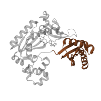 The deposited structure of PDB entry 1ryr contains 1 copy of Pfam domain PF11799 (impB/mucB/samB family C-terminal domain) in DNA polymerase IV. Showing 1 copy in chain C [auth A].
