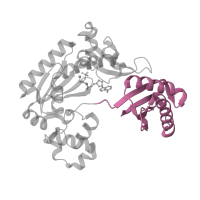 The deposited structure of PDB entry 1ryr contains 1 copy of SCOP domain 100880 (Lesion bypass DNA polymerase (Y-family), little finger domain) in DNA polymerase IV. Showing 1 copy in chain C [auth A].