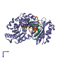 PDB entry 1ryr coloured by chain, top view.