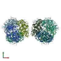 PDB entry 1ryy coloured by chain, front view.