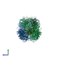 PDB entry 1ryy coloured by chain, side view.