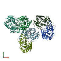 PDB entry 1ryz coloured by chain, front view.