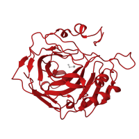 The deposited structure of PDB entry 1rza contains 1 copy of CATH domain 3.10.200.10 (Carbonic Anhydrase II) in Carbonic anhydrase 2. Showing 1 copy in chain A.
