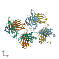 PDB entry 1rzg coloured by chain, front view.