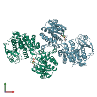 PDB entry 1rzu coloured by chain, front view.
