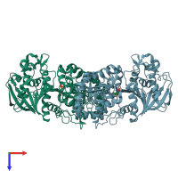 PDB entry 1rzu coloured by chain, top view.