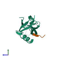 PDB entry 1rzx coloured by chain, side view.