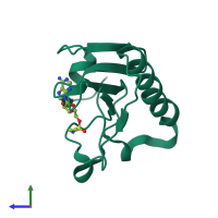 PDB entry 1rzy coloured by chain, side view.